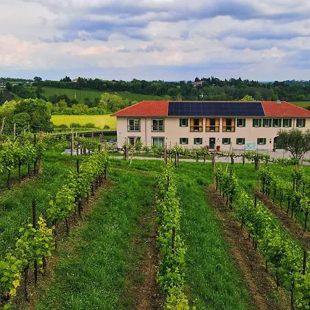 Tenuta Mani Sagge *