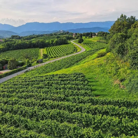 Farm stay Tenuta Mani Sagge